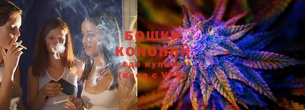 PSILOCYBIN Бронницы