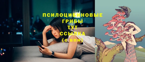 apvp Лагань