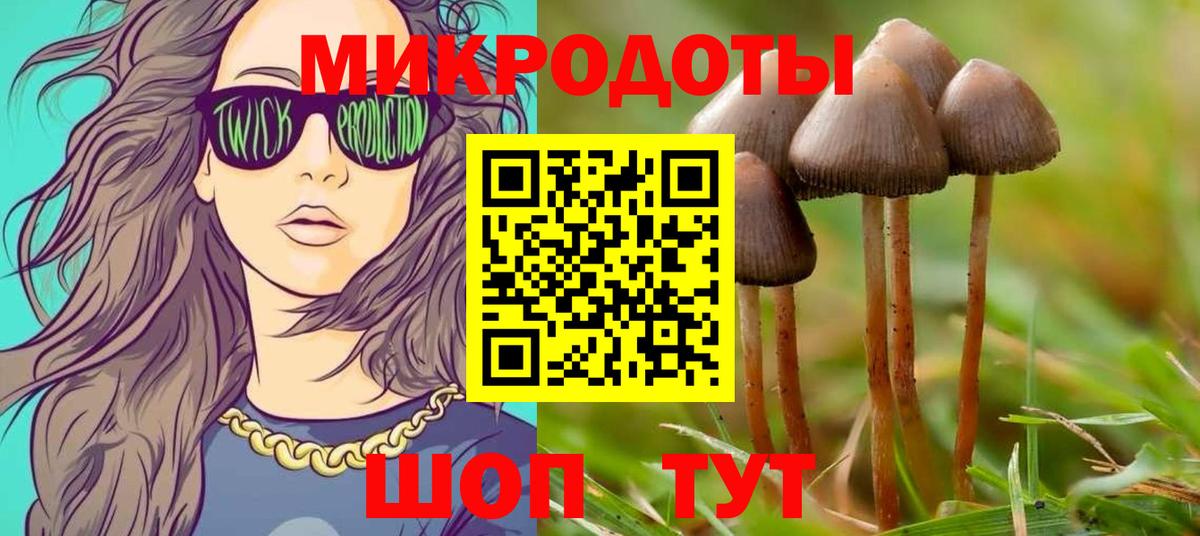 Мариинск  Псилоцибиновые грибы Magic Shrooms  Вход с VPN  Псилоцибиновые грибы Psilocybine cubensis 