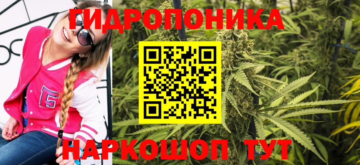 Бошки марихуана марихуана  МАРИХУАНА MAZAR  Мариинск  Шишки марихуана планчик 